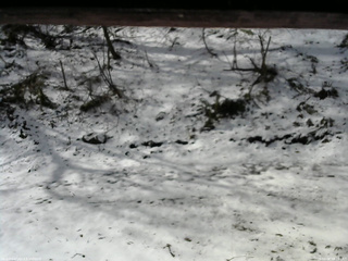 長野県菅平高原 ゆたか山荘 東側(坂下) 2026/04/08 08:15