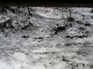 長野県菅平高原 ゆたか山荘 東側(坂下) 2026/04/08 08:45