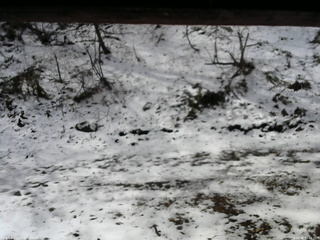 長野県菅平高原 ゆたか山荘 東側(坂下) 2026/04/08 09:00