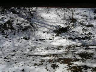 長野県菅平高原 ゆたか山荘 東側(坂下) 2026/04/08 09:15