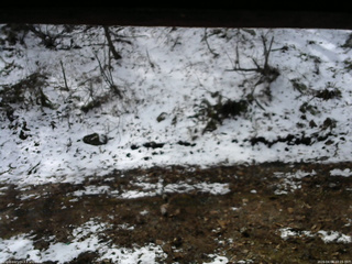 長野県菅平高原 ゆたか山荘 東側(坂下) 2026/04/08 10:15
