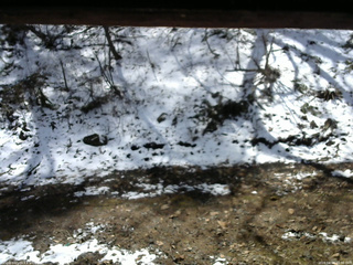 長野県菅平高原 ゆたか山荘 東側(坂下) 2026/04/08 10:30