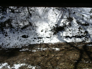 長野県菅平高原 ゆたか山荘 東側(坂下) 2026/04/08 10:45