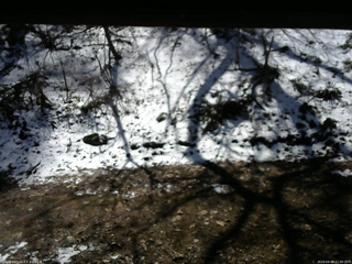 長野県菅平高原 ゆたか山荘 東側(坂下) 2026/04/08 11:00