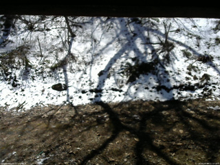 長野県菅平高原 ゆたか山荘 東側(坂下) 2026/04/08 11:15