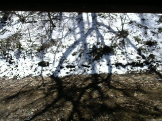 長野県菅平高原 ゆたか山荘 東側(坂下) 2026/04/08 11:30