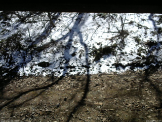 長野県菅平高原 ゆたか山荘 東側(坂下) 2026/04/08 12:15