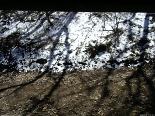 長野県菅平高原 ゆたか山荘 東側(坂下) 2026/04/08 12:30