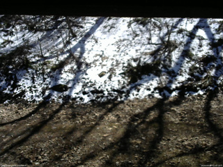 長野県菅平高原 ゆたか山荘 東側(坂下) 2026/04/08 12:45