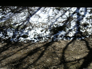 長野県菅平高原 ゆたか山荘 東側(坂下) 2026/04/08 13:00