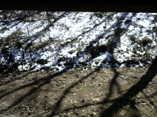 長野県菅平高原 ゆたか山荘 東側(坂下) 2026/04/08 13:15