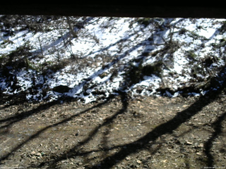 長野県菅平高原 ゆたか山荘 東側(坂下) 2026/04/08 13:30