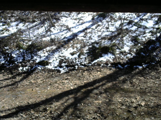 長野県菅平高原 ゆたか山荘 東側(坂下) 2026/04/08 14:00