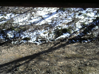 長野県菅平高原 ゆたか山荘 東側(坂下) 2026/04/08 14:15