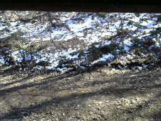 長野県菅平高原 ゆたか山荘 東側(坂下) 2026/04/08 14:45