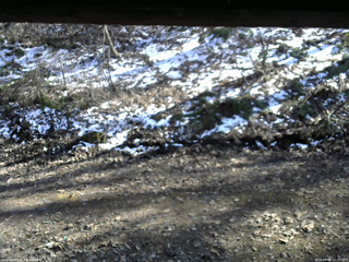 長野県菅平高原 ゆたか山荘 東側(坂下) 2026/04/08 15:00