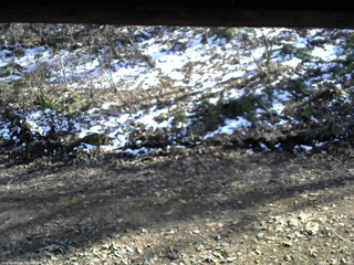 長野県菅平高原 ゆたか山荘 東側(坂下) 2026/04/08 15:15