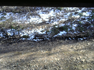 長野県菅平高原 ゆたか山荘 東側(坂下) 2026/04/08 15:30