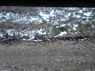 長野県菅平高原 ゆたか山荘 東側(坂下) 2026/04/08 17:30