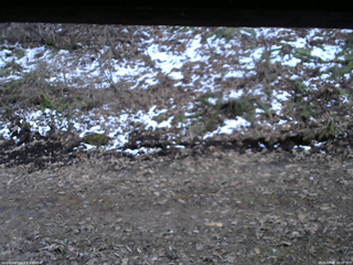 長野県菅平高原 ゆたか山荘 東側(坂下) 2026/04/08 18:00