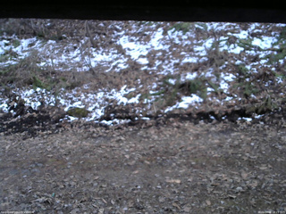 長野県菅平高原 ゆたか山荘 東側(坂下) 2026/04/08 18:15