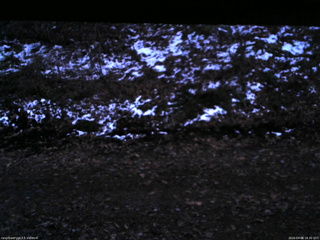 長野県菅平高原 ゆたか山荘 東側(坂下) 2026/04/08 18:30