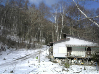 長野県菅平高原 ゆたか山荘 西側(坂上) 2026/04/08 08:00