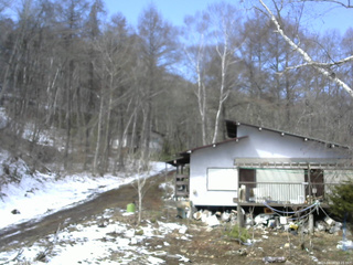 長野県菅平高原 ゆたか山荘 西側(坂上) 2026/04/08 10:15