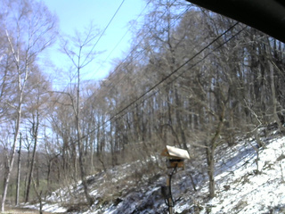 長野県菅平高原 ゆたか山荘 温度計 2026/04/08 12:15