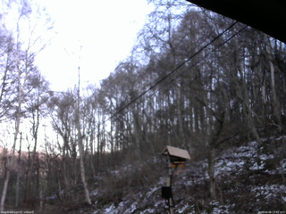 長野県菅平高原 ゆたか山荘 温度計 2026/04/08 17:15