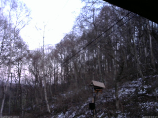 長野県菅平高原 ゆたか山荘 温度計 2026/04/08 18:15