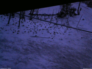 長野県菅平高原 ゆたか山荘 駐車場 2026/04/08 05:00