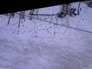 長野県菅平高原 ゆたか山荘 駐車場 2026/04/08 05:30