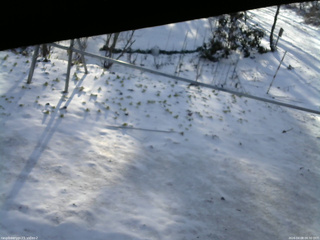 長野県菅平高原 ゆたか山荘 駐車場 2026/04/08 06:30