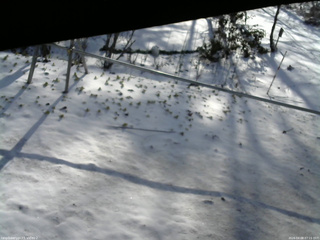 長野県菅平高原 ゆたか山荘 駐車場 2026/04/08 07:15