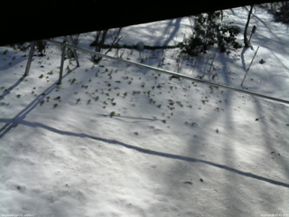 長野県菅平高原 ゆたか山荘 駐車場 2026/04/08 07:45