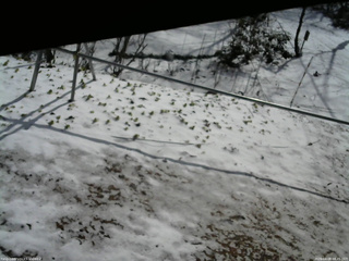 長野県菅平高原 ゆたか山荘 駐車場 2026/04/08 08:45