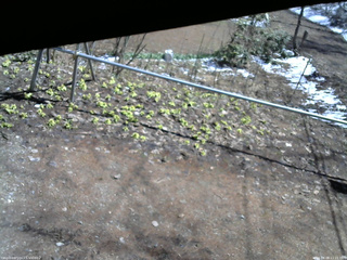 長野県菅平高原 ゆたか山荘 駐車場 2026/04/08 11:15