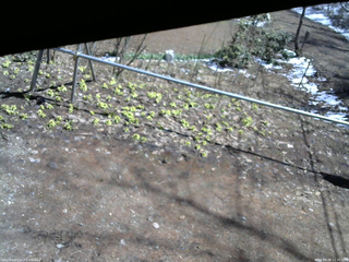 長野県菅平高原 ゆたか山荘 駐車場 2026/04/08 11:30