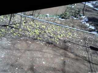 長野県菅平高原 ゆたか山荘 駐車場 2026/04/08 11:45