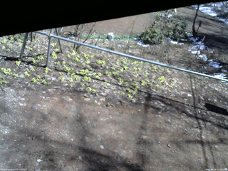 長野県菅平高原 ゆたか山荘 駐車場 2026/04/08 12:00