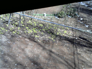 長野県菅平高原 ゆたか山荘 駐車場 2026/04/08 12:45