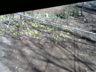 長野県菅平高原 ゆたか山荘 駐車場 2026/04/08 13:00