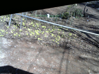 長野県菅平高原 ゆたか山荘 駐車場 2026/04/08 14:00