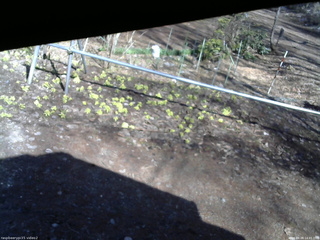 長野県菅平高原 ゆたか山荘 駐車場 2026/04/08 14:45