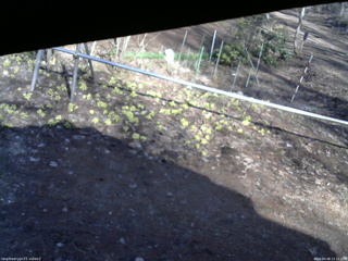 長野県菅平高原 ゆたか山荘 駐車場 2026/04/08 15:15