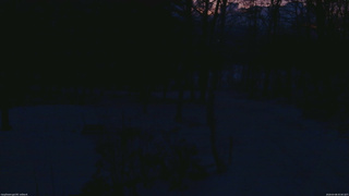 長野県菅平高原 ゆたか山荘 坂上 2026/04/08 05:00