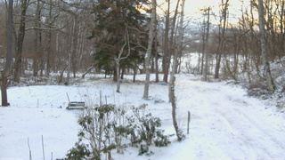 長野県菅平高原 ゆたか山荘 坂上 2026/04/08 05:45