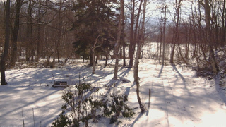 長野県菅平高原 ゆたか山荘 坂上 2026/04/08 07:45