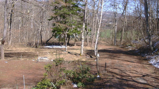 長野県菅平高原 ゆたか山荘 坂上 2026/04/08 13:45